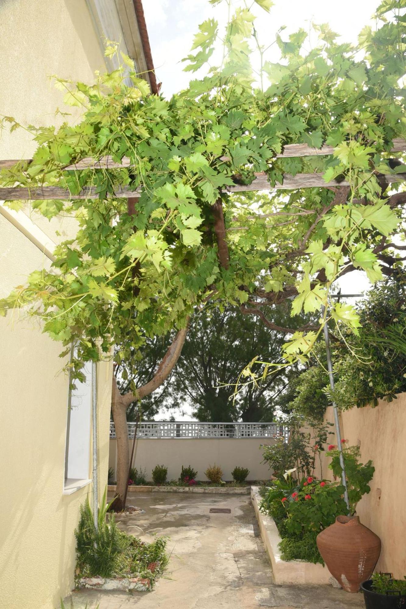 Blue Flag Award Winning Ormos Lo Beach: Home 1 Vrontádos Exterior foto